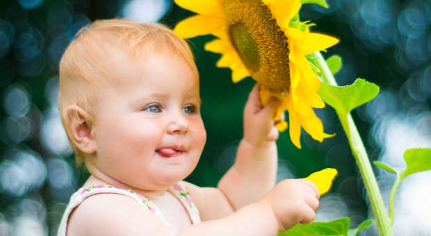 In Green/shutterstock.com
