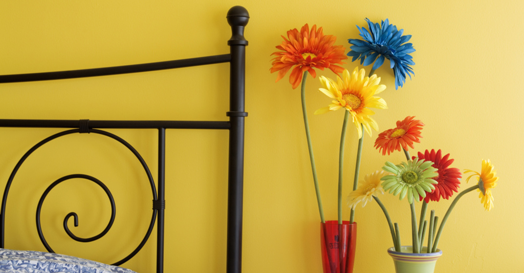 Bettgestell aus dunklem Stahl, warmgelbe Zimmerwand, zwei Vasen mit langstiehligen Geranien in gelb, blau, rot