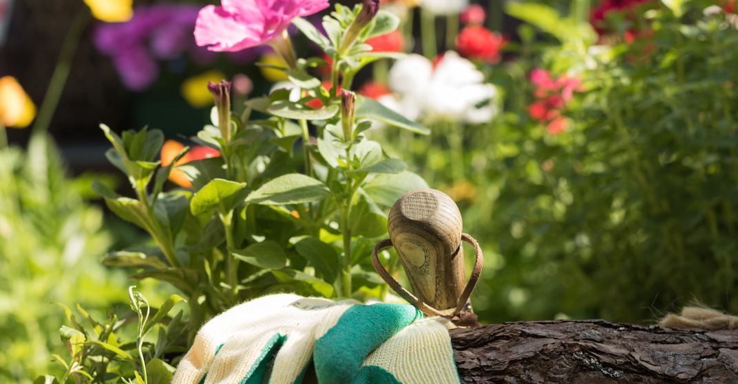 Gartenhandschuhe liegen auf einem Stück Holz vor einer Kulisse aus Frühlingsblumen im Garten.