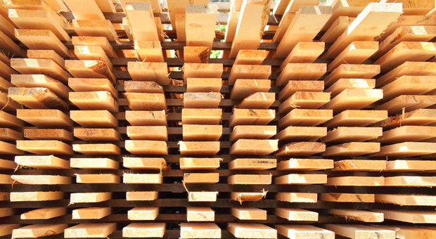 Bauen mit Holz: Diese Vorteile bietet der natürliche Baustoff